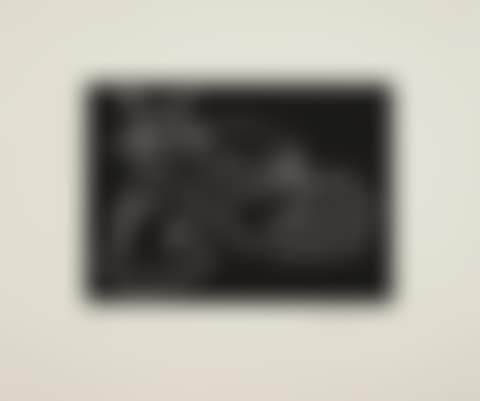 Cats (Black) (preview)