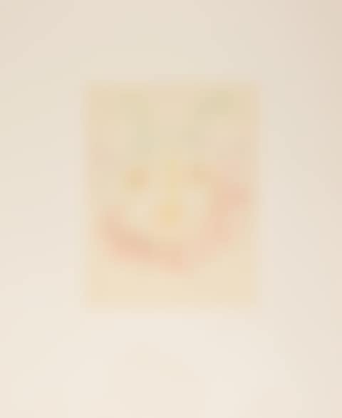 One lithograph, from Dans l"Atelier de Picasso (see Cramer 88) (preview)