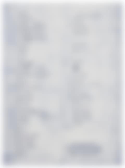 Christopher Wool (preview)