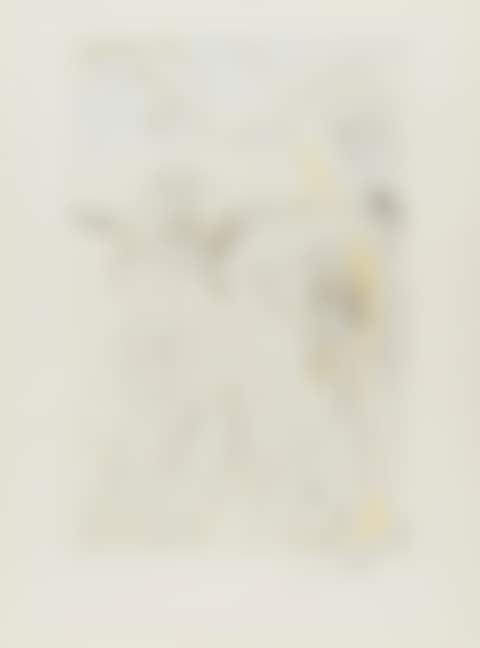 Le Jugement de Paris, from Hommage à Albrect Durer (Field 71-8-F; see M&L 485) (preview)
