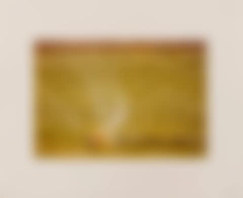 Untitled (Sprinkles) (preview)