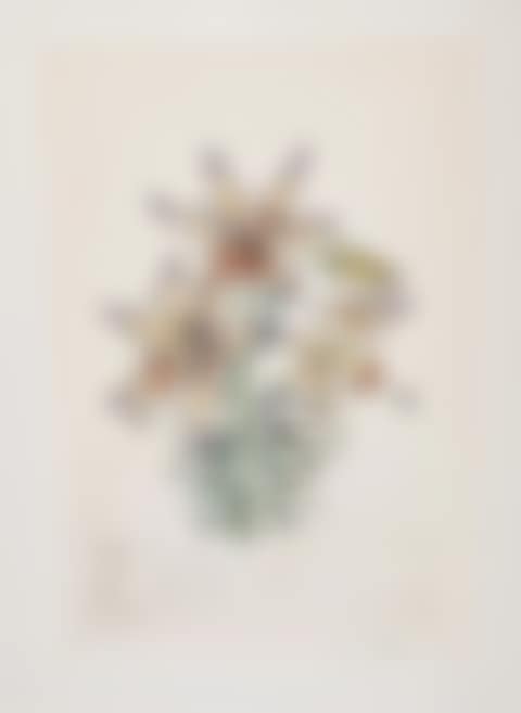 Lilium auratium formicans, from Surrealistic Flowers (Field 72-7K; M&L 548) (preview)
