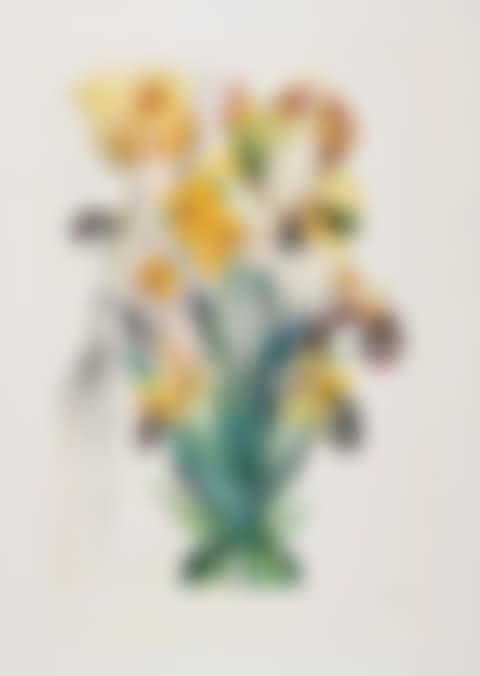 Narcissus telephonans inondis, from Surrealistic Flowers (Field 72-7J; M&L 549) (preview)