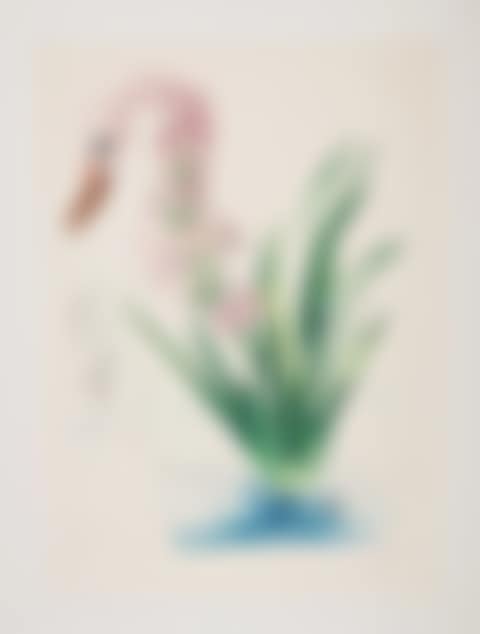 Polyanthes, tyberosa et cygnus vegetalis, from Surrealistic Flowers (Field 72-7C; Michler and Löpsinger 542) (preview)