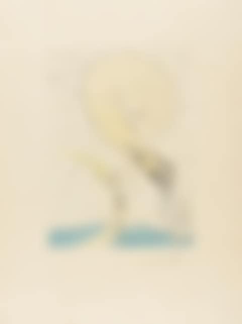 Freud with a Snail Head (Field 74-8G; M&L 672d) (preview)