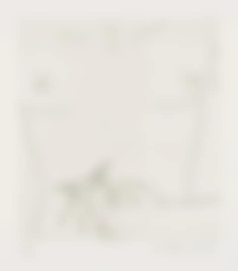 Untitled (From the Valley Suite) (see Littman p.136-141) (preview)