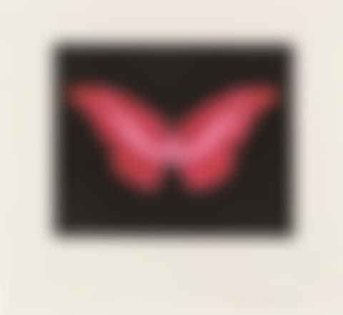 To Lose (Red Butterfly) (preview)