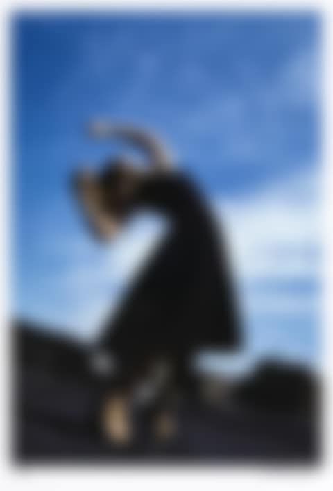 Untitled (Janet from the Men in the Cities series) (preview)