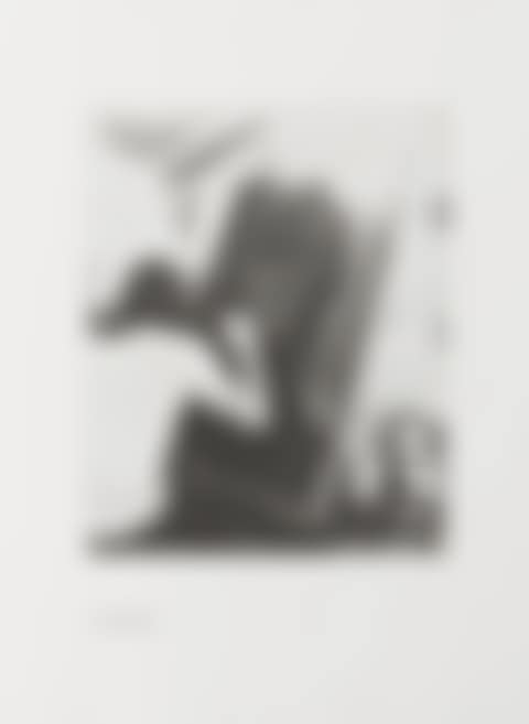 A Documentation with Ten Photographic Etchings of the Work in Progress (preview)