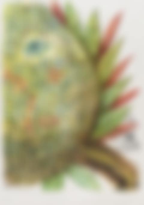 Ananas (Field 67-11) (preview)