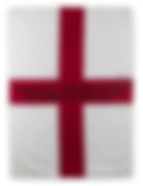 People Who Enjoy Waving Flags Don"t Deserve To Have One (preview)