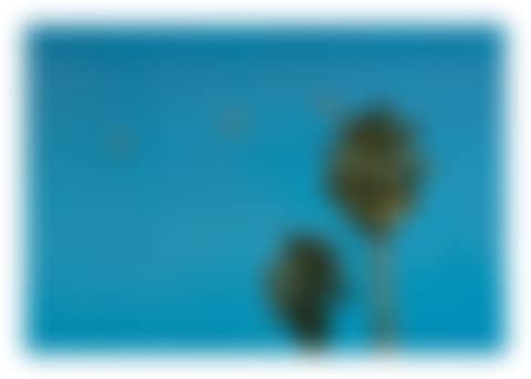 Throwing Three Balls in the Air to Get a Straight Line (Best of Thirty-Six Attempts) (preview)