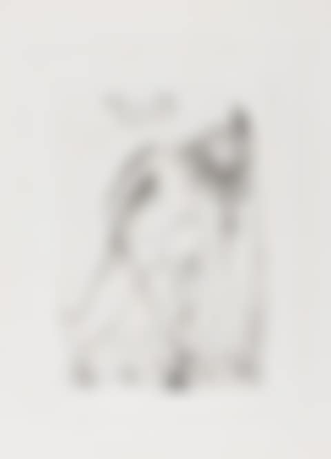Narcisse (from Fifteen Etchings) (Field 68-4B; M&L 28-e) (preview)