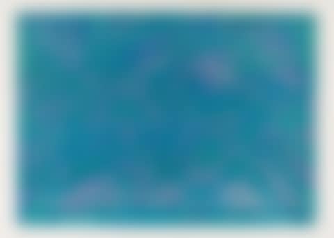 Swimming Bird (Black and Moorehead 328) (preview)