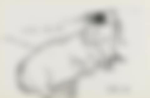 Little Boodge (preview)