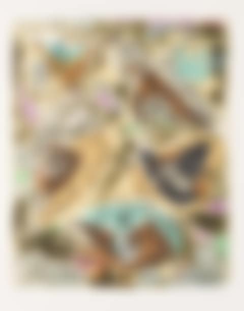 Untitled (preview)