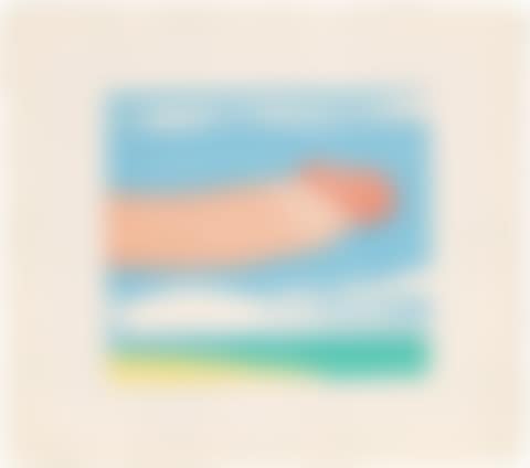 ”Seascape Penis” (preview)