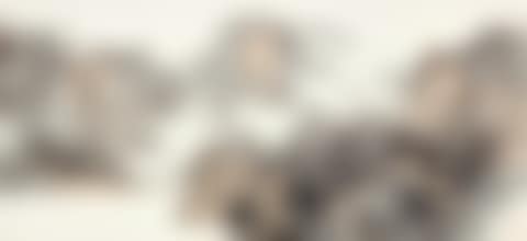 Misty Mountains after Rain (preview)