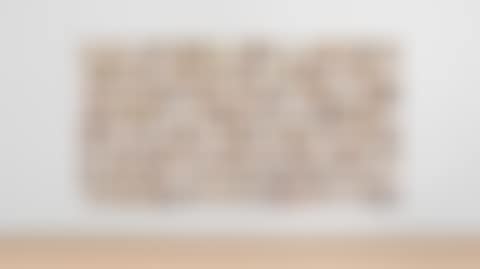 Collection of One Hundred and Ninety-two Plaster Surrogates (preview)