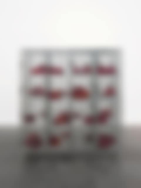 Cells II (preview)