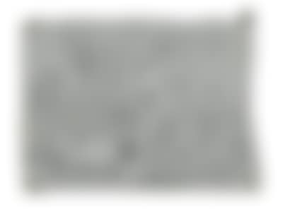 Apollo and Marsyas (recto), the study of a male figure"s back (verso) (preview)