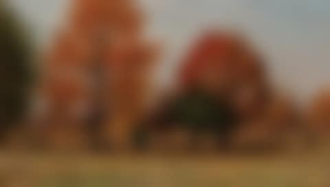 A Hunter and His Dog in an Autumn Landscape (preview)