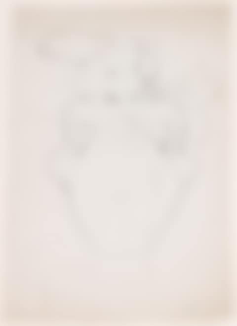Two Floral Drawings; Vase with Fruits; Abstract Landscape (preview)