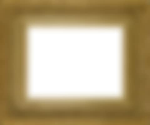 FRAME (preview)