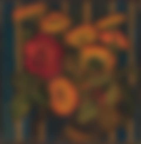 Petunias (preview)