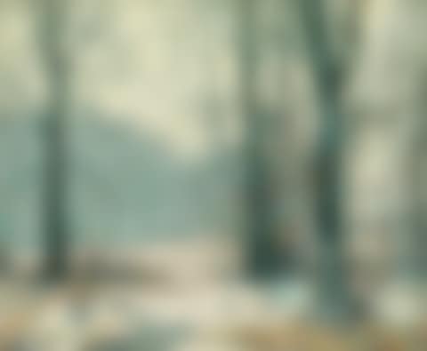 "Winter Morning Mists" (preview)