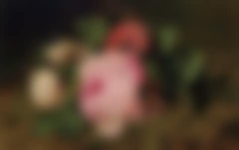 Floral Still Life (preview)