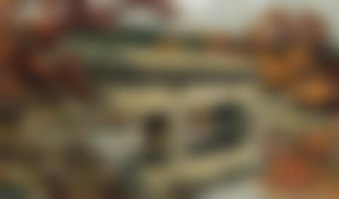 Covered Bridge (preview)