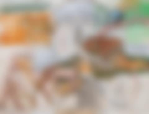 "About the Zoo" (preview)