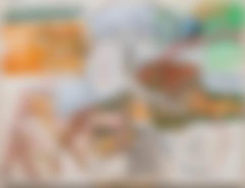 "About the Zoo" (preview)