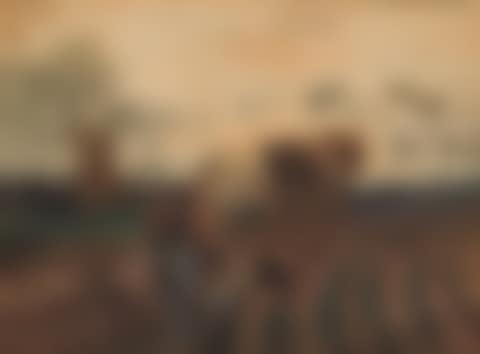 Fall Harvest (preview)