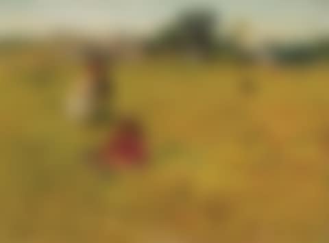 Picnic (preview)