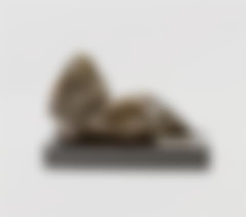 Newborn (Study) (preview)