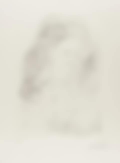 Portrait of La Fontaine (from La Fontaine"s Bestiary Dalinized) (Field 74-1-A; M&L 653) (preview)