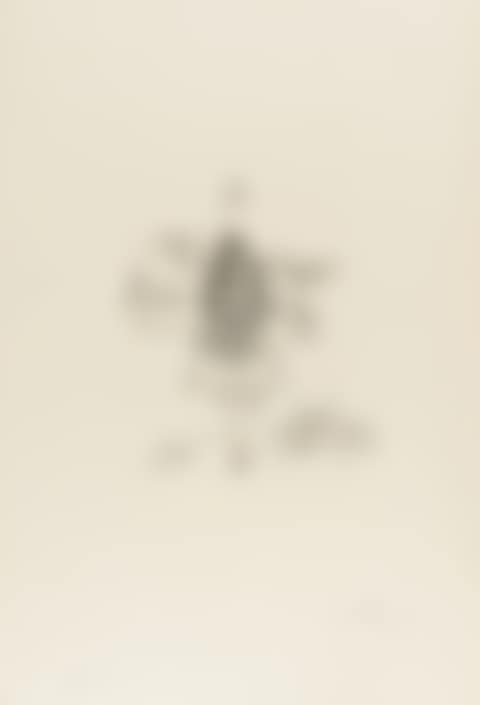 Immortalité du Dalianus Galae (M & L 567b; Field 73-20A) (preview)
