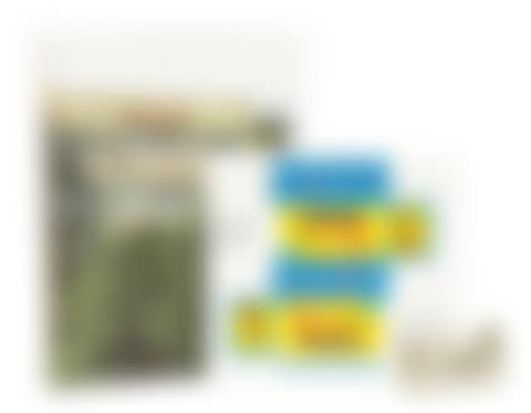 Mike and Modelmakers (preview)