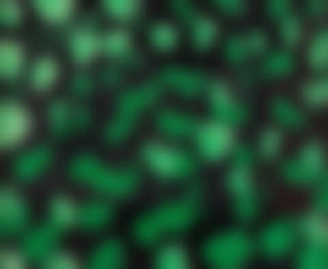 Multiplication (not in Heenk) (preview)
