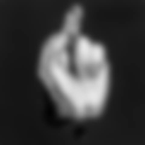 The Artist"s Hand (preview)