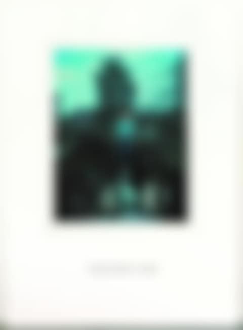 Polaroid Portrait, Hermann Nitsch 21.10.76 (preview)