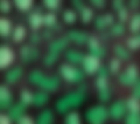 Multiplication (not in Heenk) (preview)
