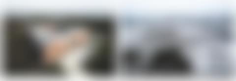 Shanghai Studio (preview)
