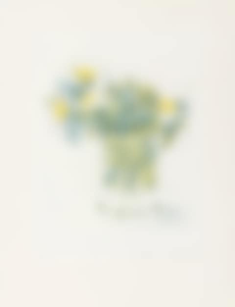 Marguerites (Scottish Arts Council 157) (preview)