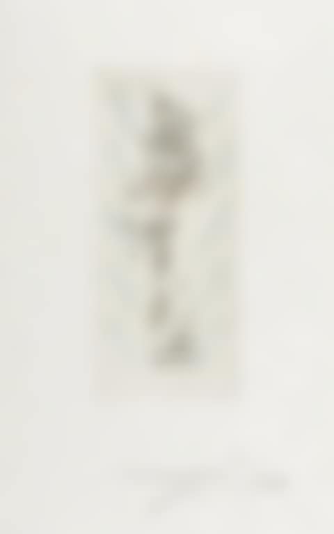 Petits nus d"Apollinaire (M.&L.205) (preview)