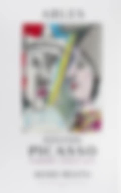 Arles Donation Picasso (preview)