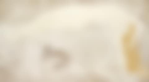 Nu au chat (preview)
