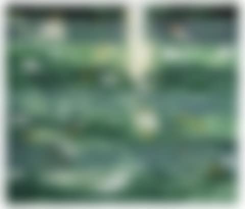 "Pond Edge 6 - Reflections II," (preview)